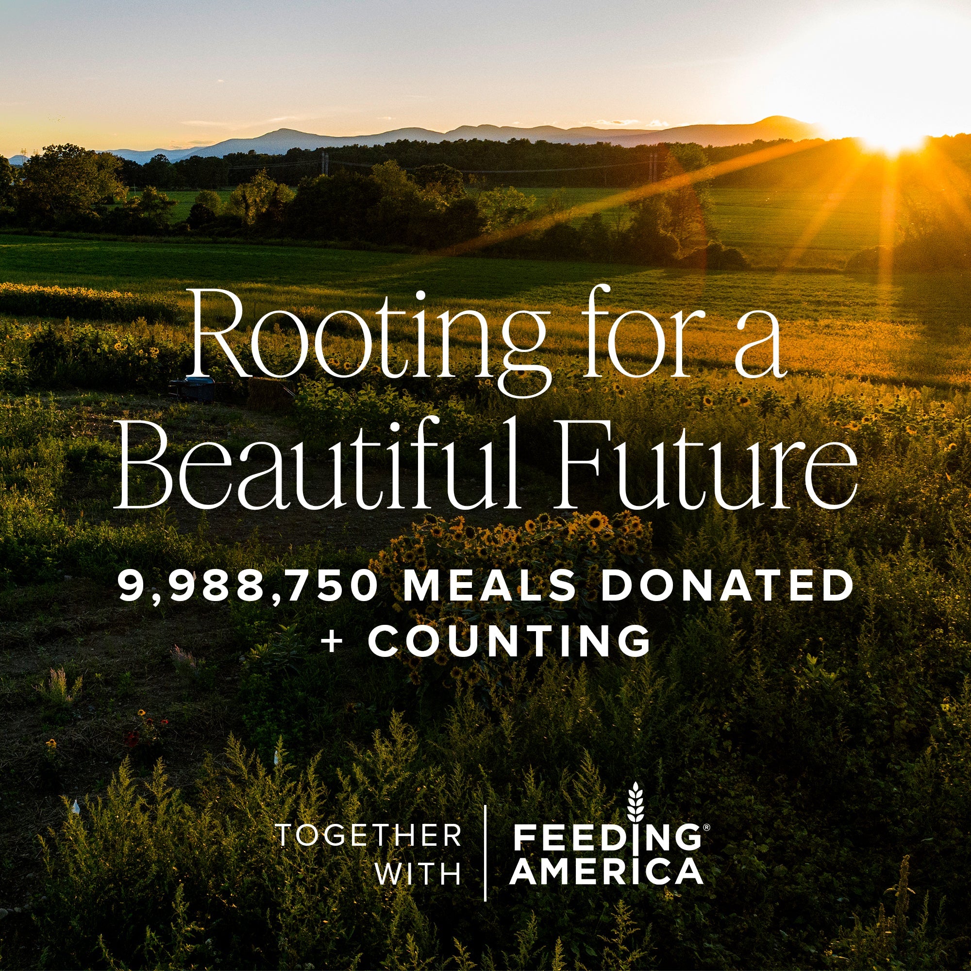 Green Clean Fragrance-Free Gentle Creamy Cleanser