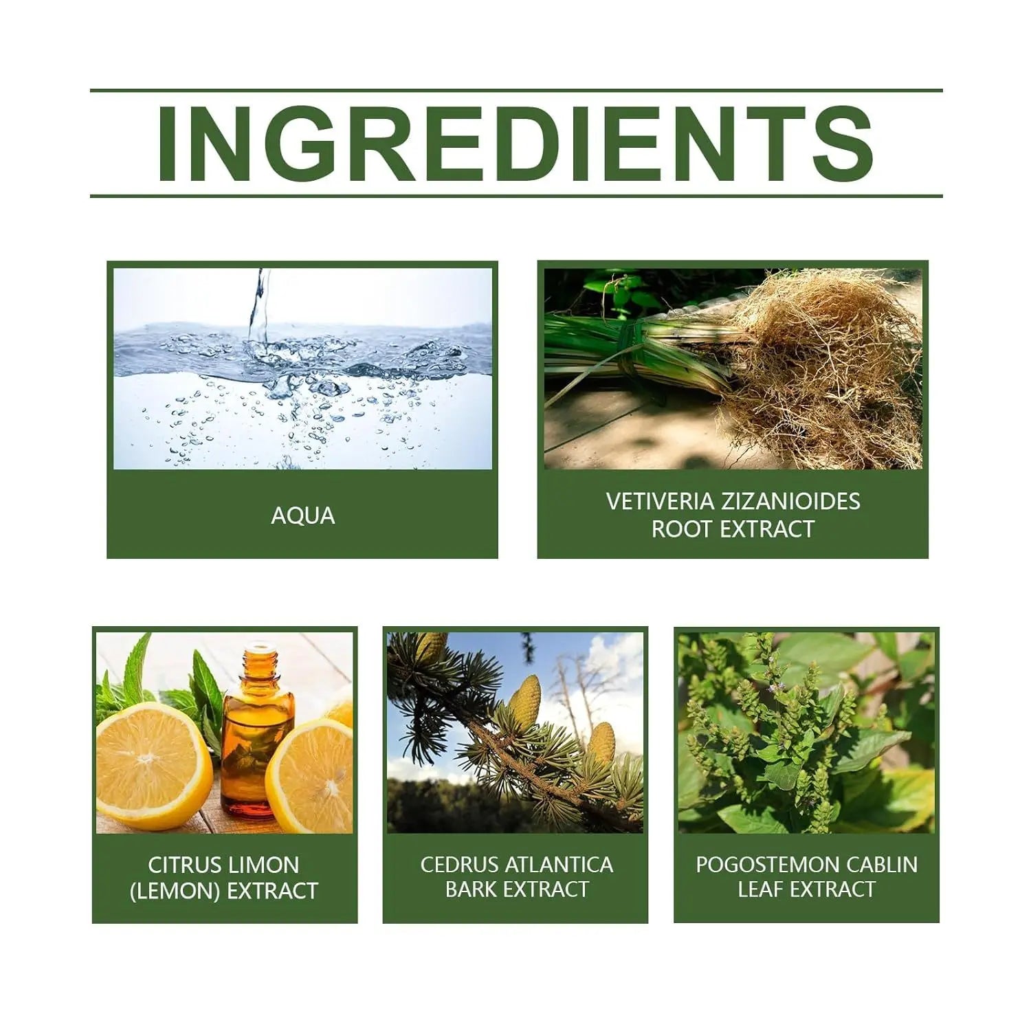 Vetiver Perfume Men 50ml Hair Perfume & Body Spray Long Lasting Fragrance Scent Perfume Spray for Women Fragrance Perfumes