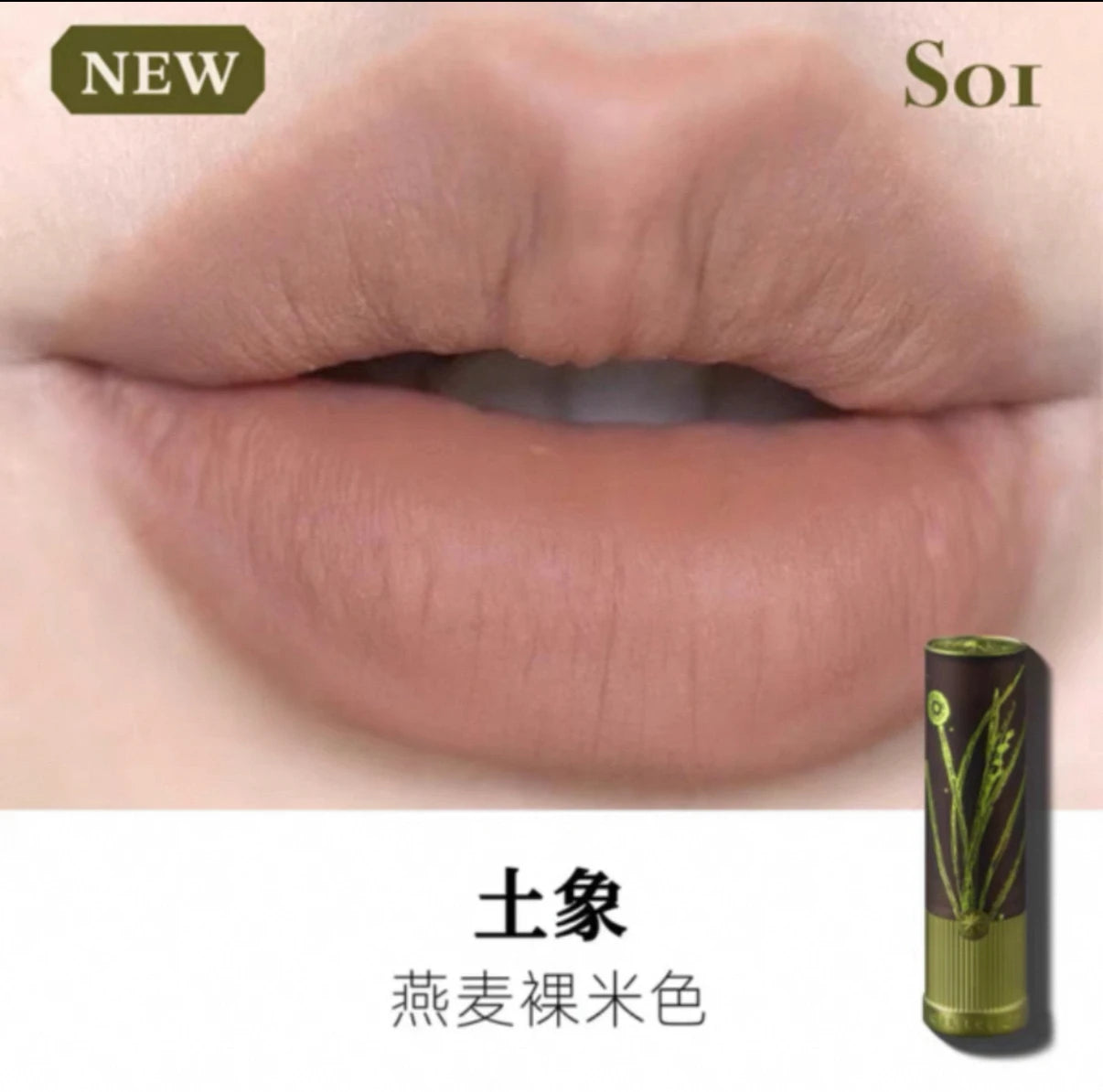 Girlcult Compendium of Materia Medica Series Lipstick Matte Velvet Lip Clay Shimmer Lipgloss Love Talk Lip Cream White Lip Glaze