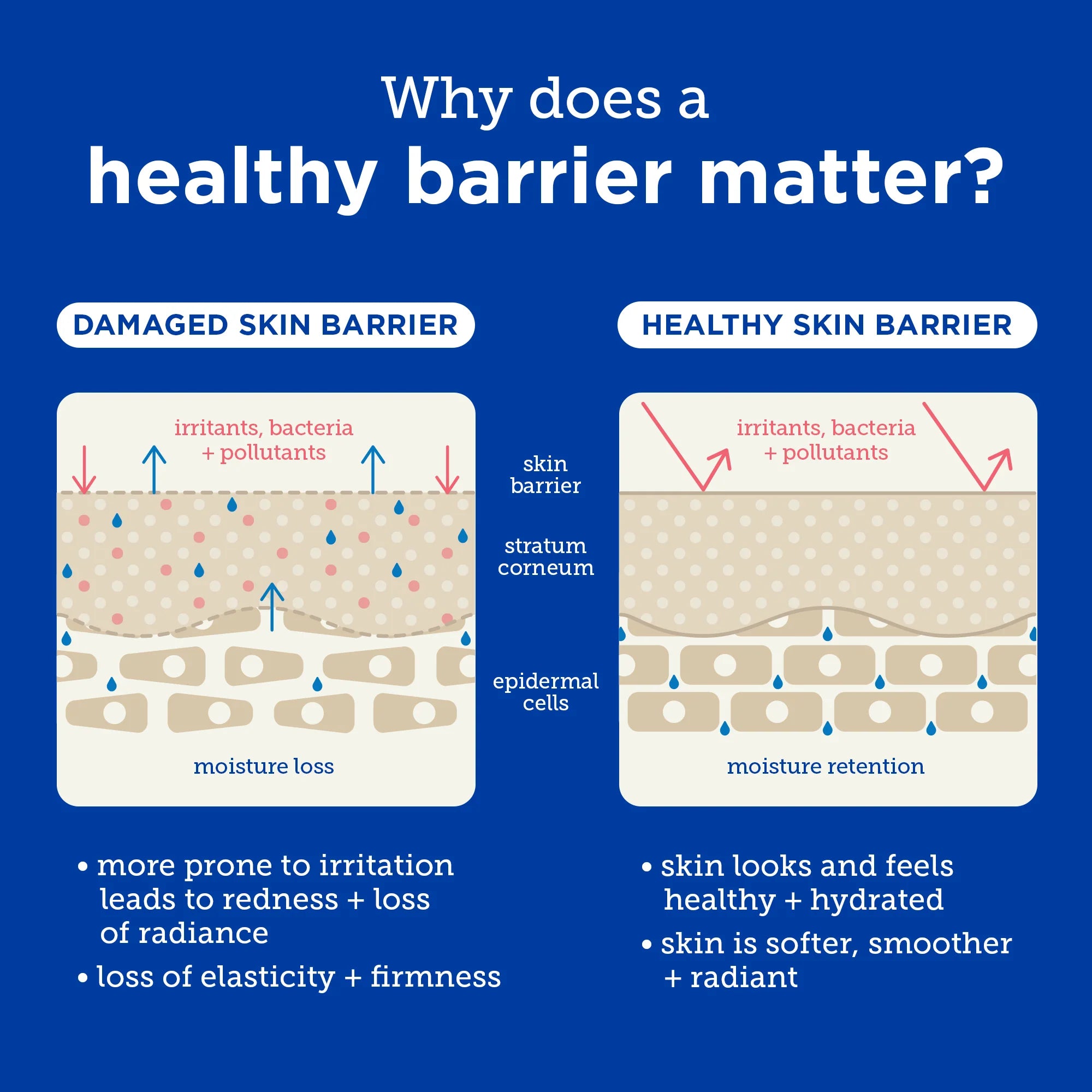 Barrier+ Ceramide + Ectoin Gentle Gel Cleanser